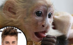 Justin Bieber and Mally, the monkey