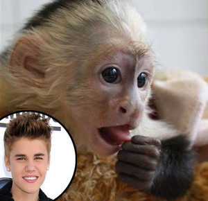 Justin Bieber and Mally, the monkey